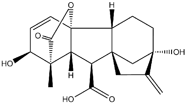 赤霉素GIBBERELLIC ACID，居然有這么神奇？